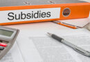 Subsidies en regelingen voor werkgevers vanaf juni 2026